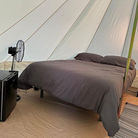 Camping Ripolles Dış mekan fotoğraf