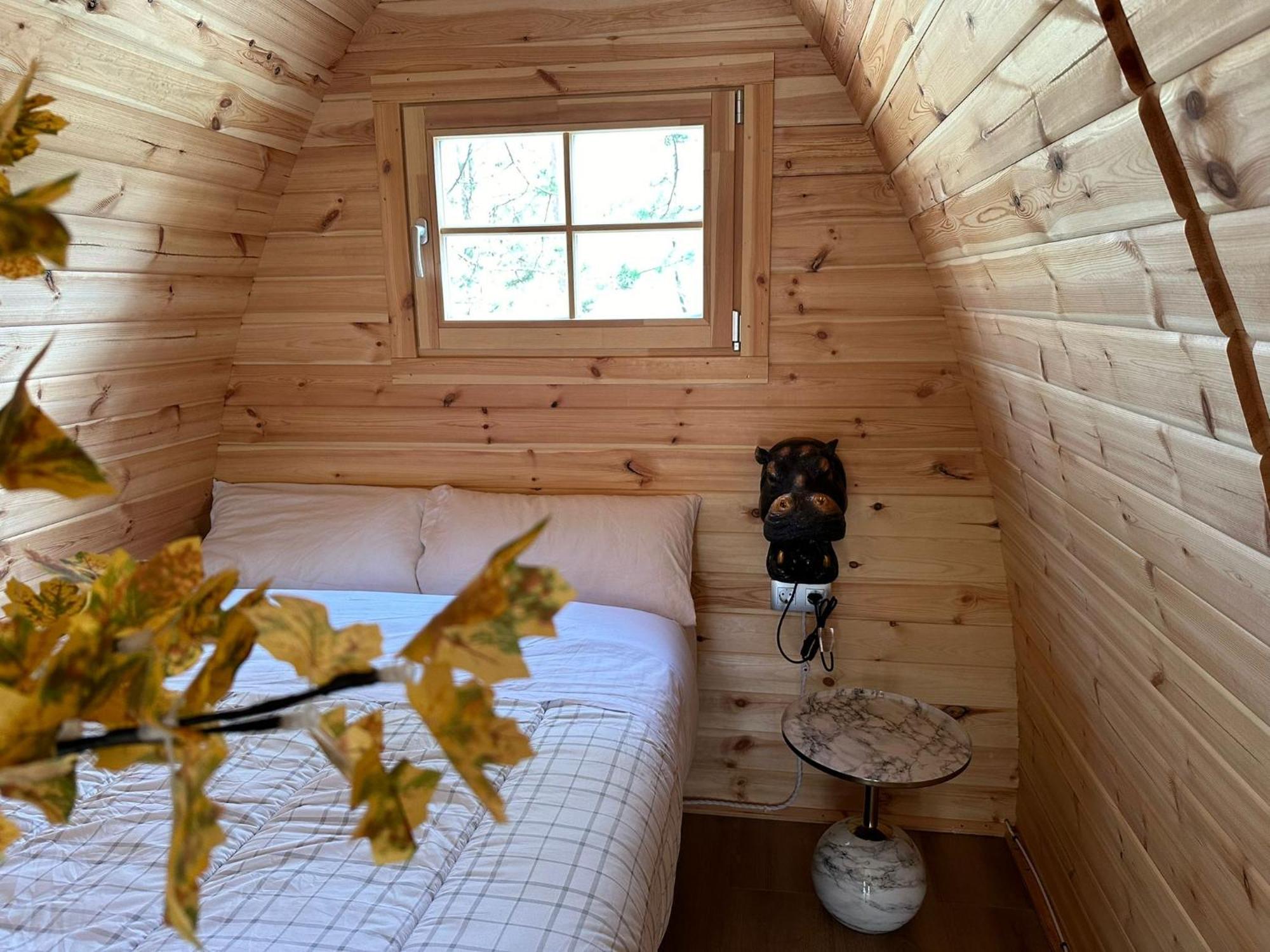Camping Ripolles Dış mekan fotoğraf