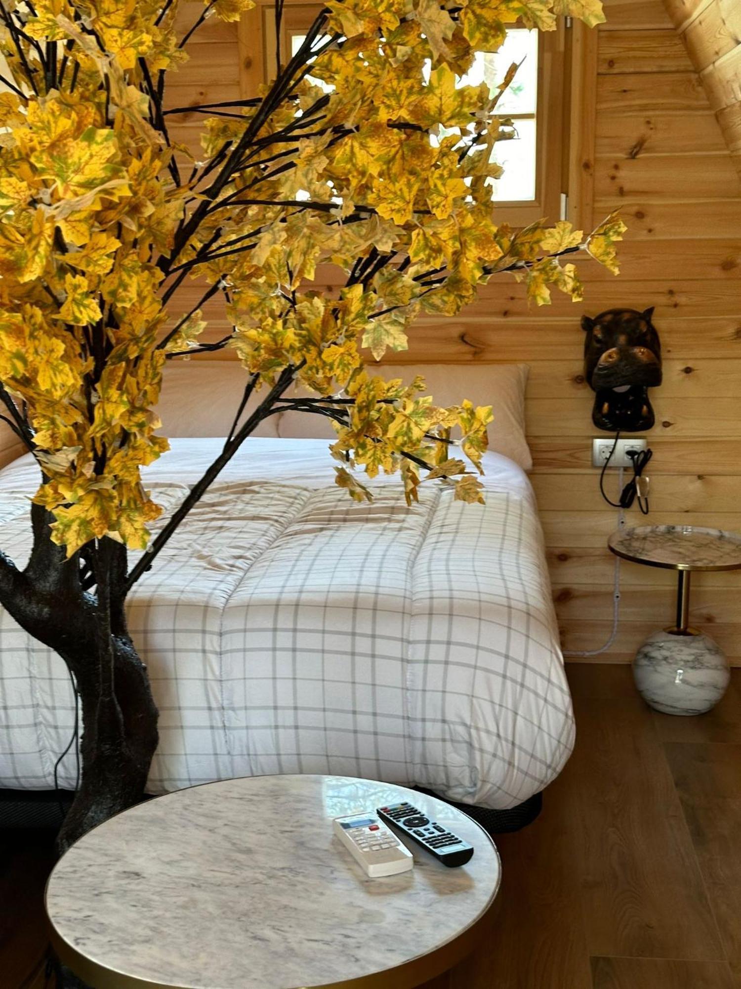 Camping Ripolles Dış mekan fotoğraf