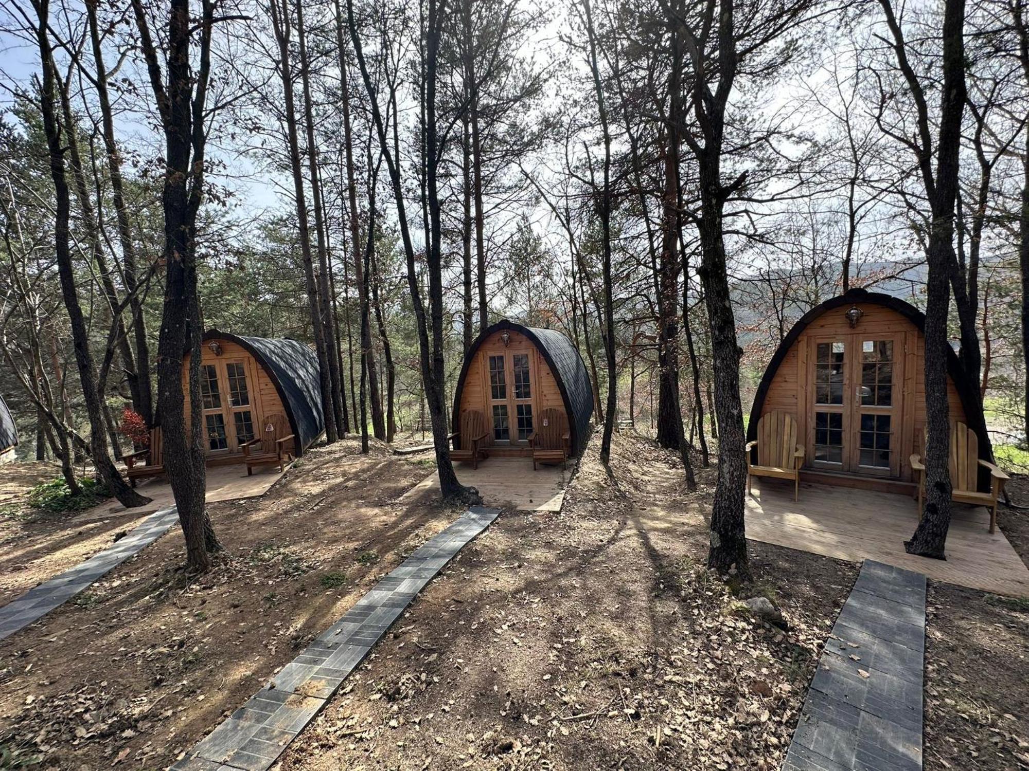 Camping Ripolles Dış mekan fotoğraf