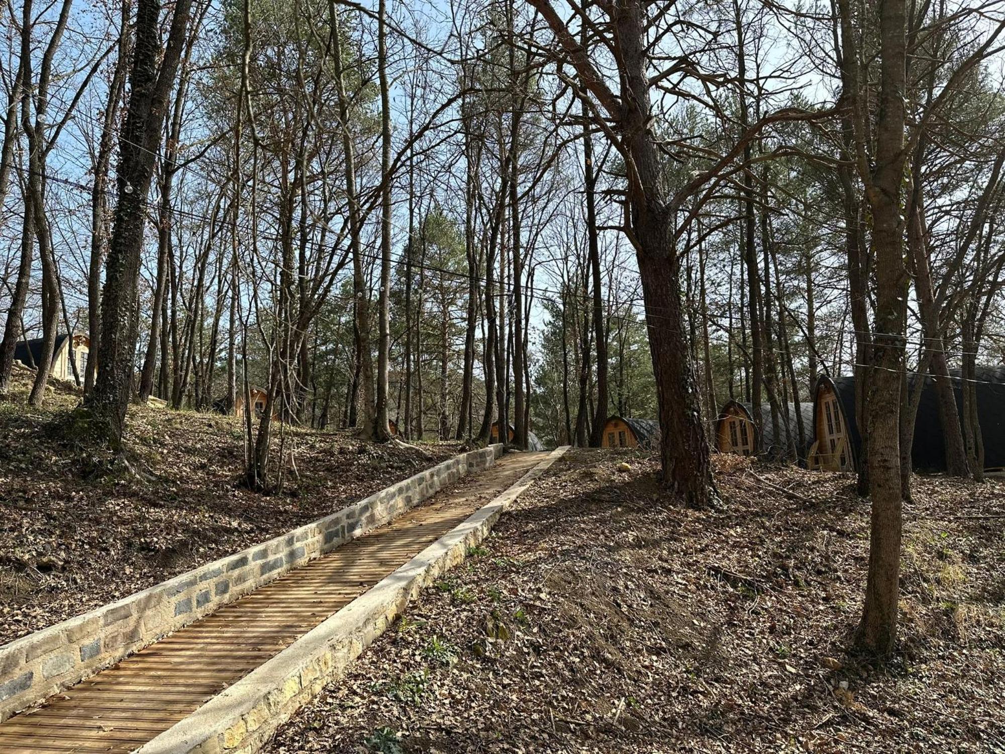 Camping Ripolles Dış mekan fotoğraf
