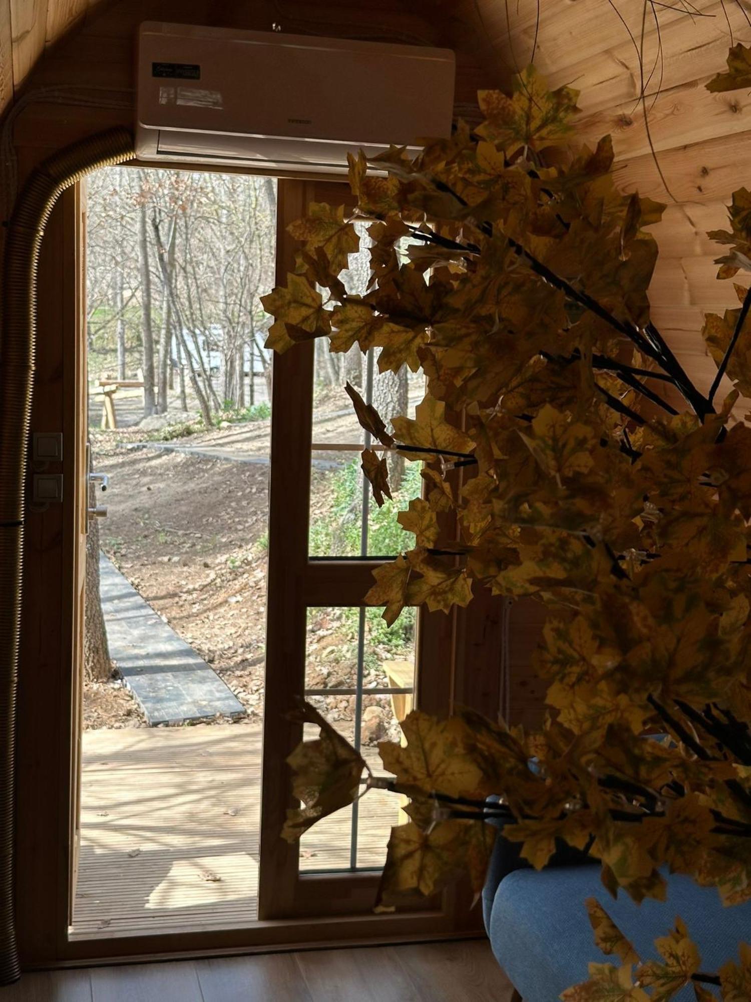 Camping Ripolles Dış mekan fotoğraf