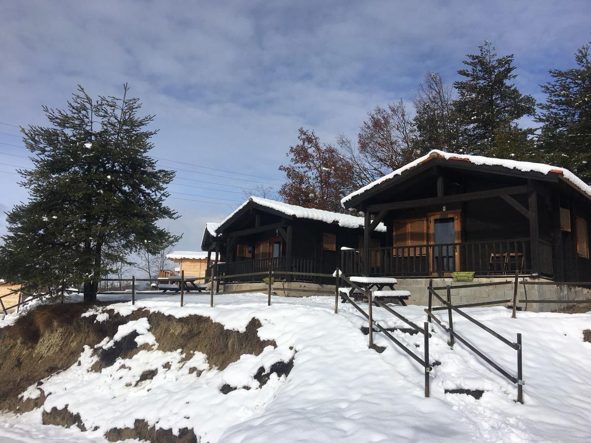 Camping Ripolles Dış mekan fotoğraf