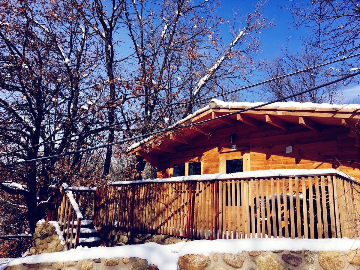 Camping Ripolles Dış mekan fotoğraf
